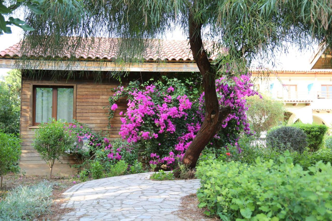 Dar Zitouna Sousse-Tunisie מראה חיצוני תמונה